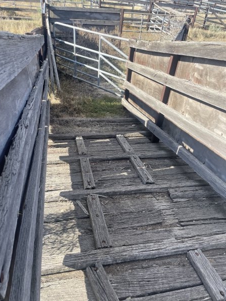 Decrepit conditions of abandoned Saleyard