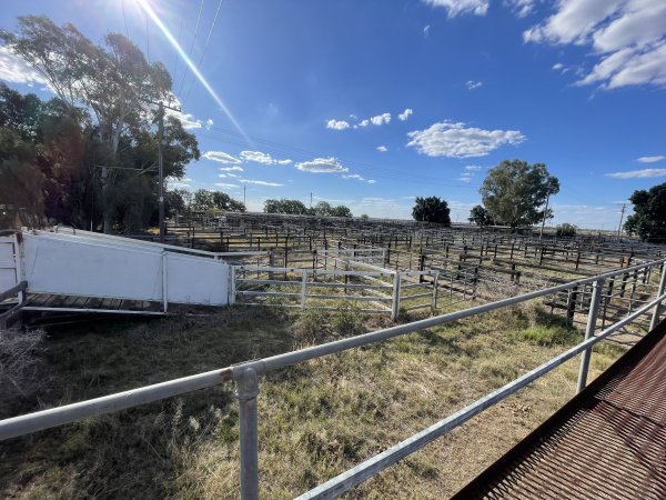 Decrepit conditions of abandoned Saleyard