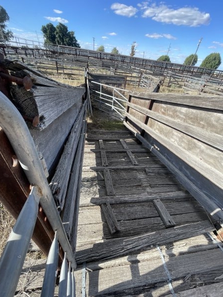 Decrepit conditions of abandoned Saleyard