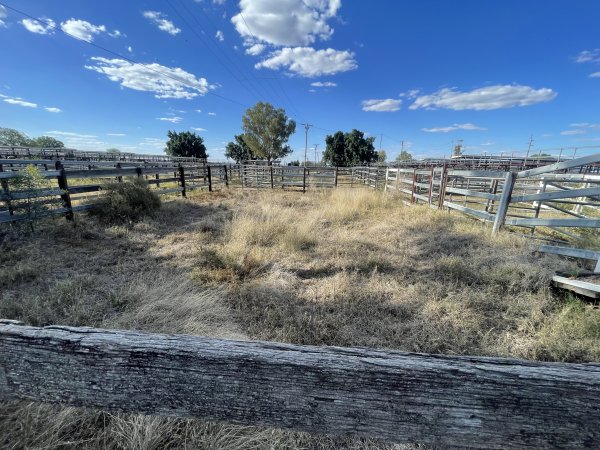 Decrepit conditions of abandoned Saleyard