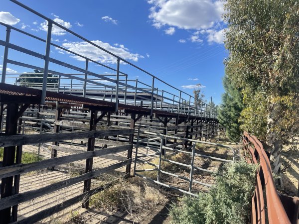 Decrepit conditions of abandoned Saleyard