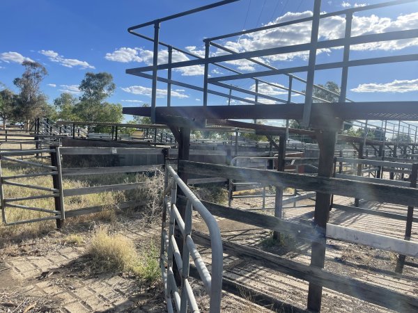 Decrepit conditions of abandoned Saleyard