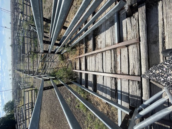 Decrepit conditions of abandoned Saleyard