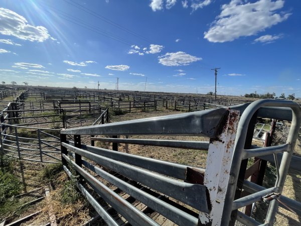 Decrepit conditions of abandoned Saleyard