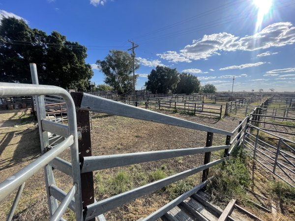 Decrepit conditions of abandoned Saleyard