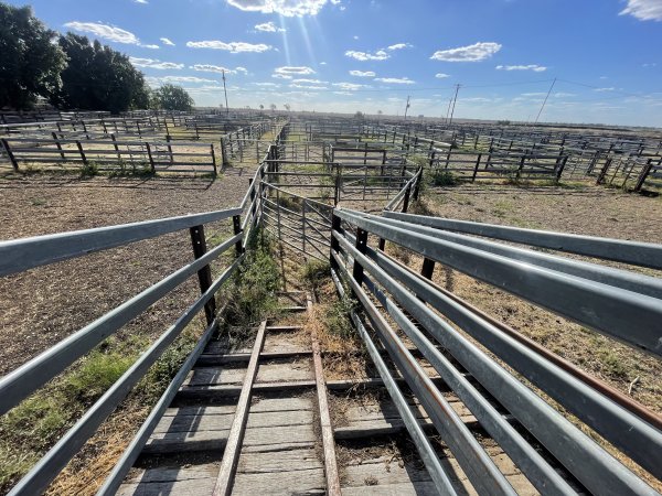 Decrepit conditions of abandoned Saleyard