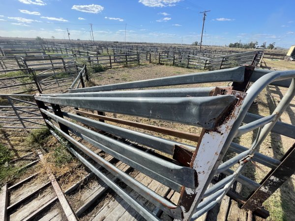 Decrepit conditions of abandoned Saleyard