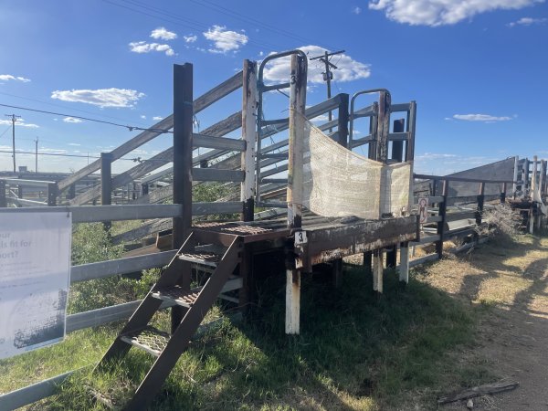 Decrepit conditions of abandoned Saleyard