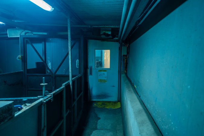 Final pens leading into room with gas chamber
