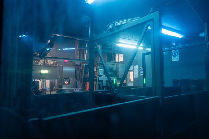 Room with gas chamber, seen through frosted window