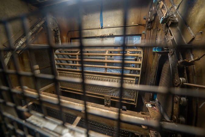 Grated window looking into gas chamber