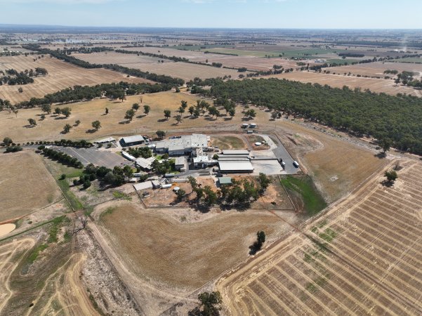 Drone flyover of slaughterhouse