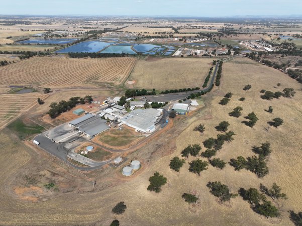 Drone flyover of slaughterhouse