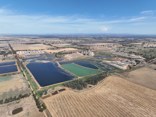 Drone flyover of piggery
