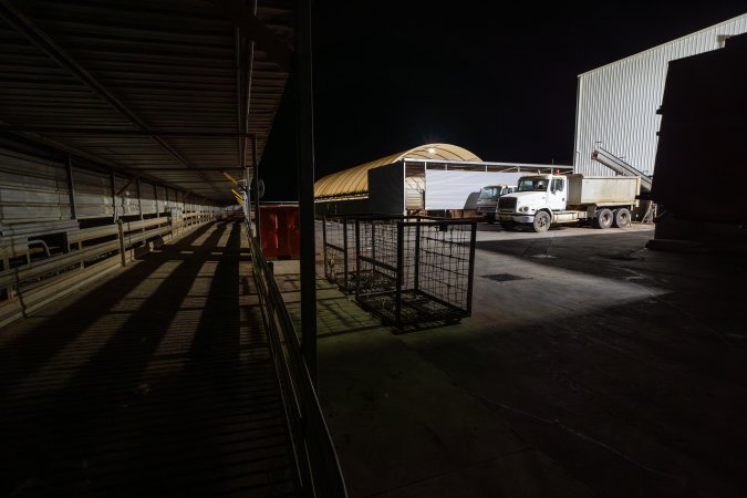 View towards the holding pens, unloading ramp and race