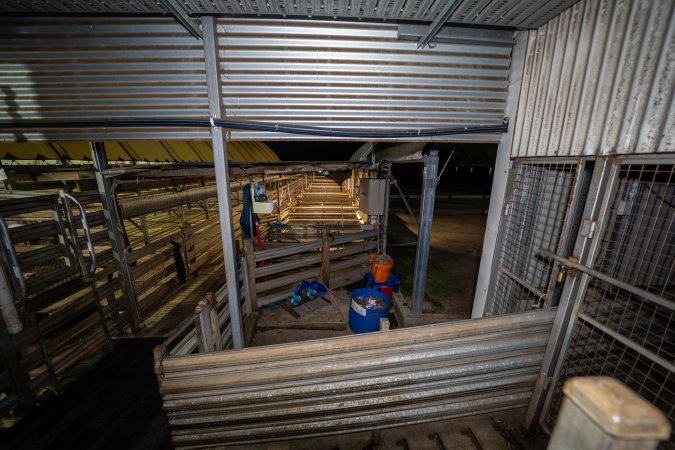 Gate to race and empty holding pens