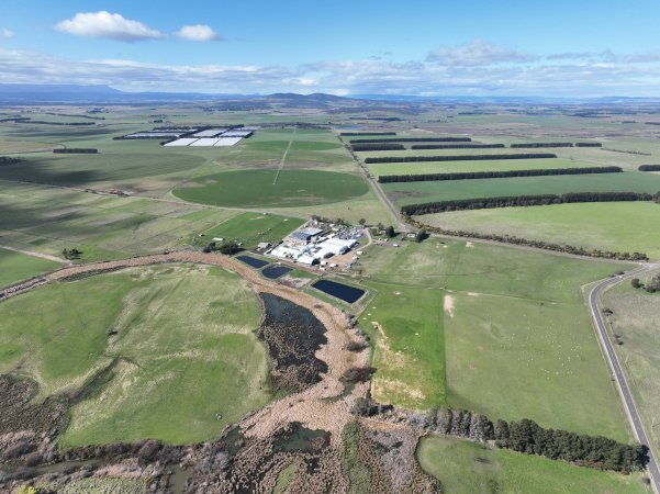 Drone flyover of slaughterhouse