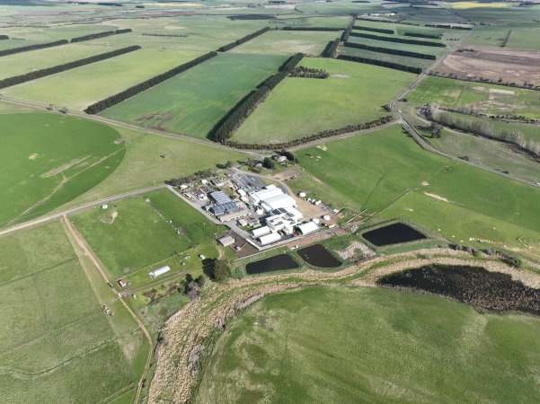 Drone flyover of slaughterhouse