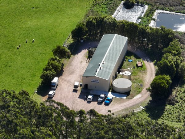 Drone flyover of slaughterhouse