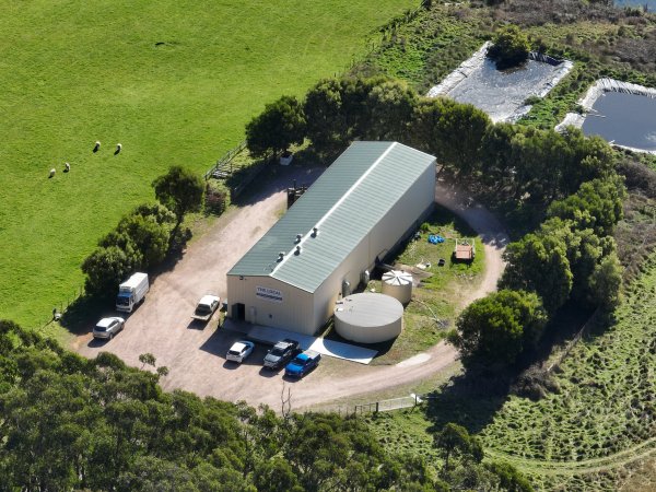 Drone flyover of slaughterhouse