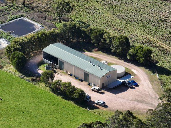 Drone flyover of slaughterhouse