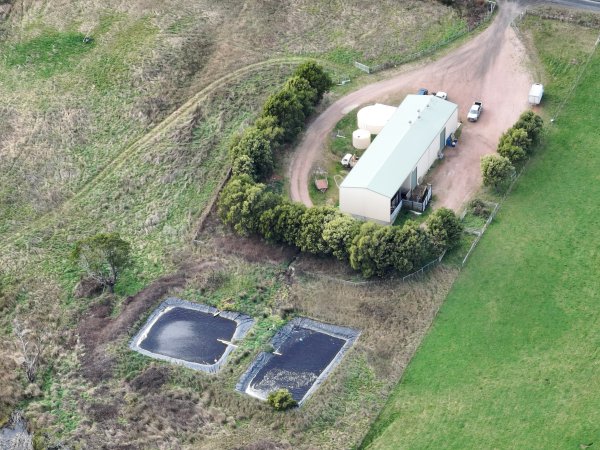 Drone flyover of slaughterhouse