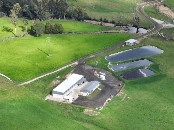 Drone flyover of slaughterhouse