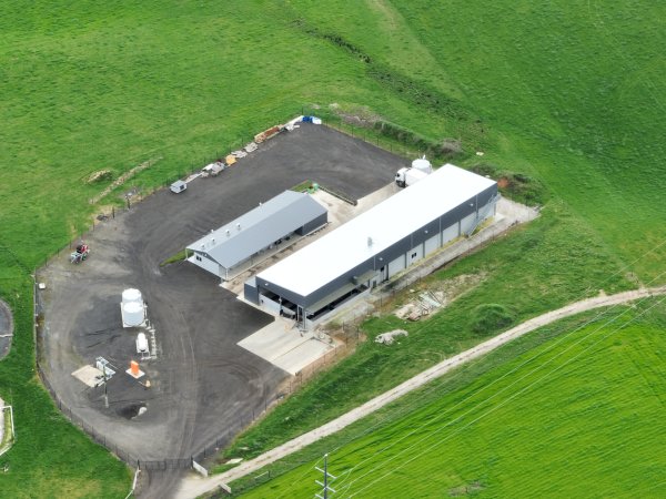 Drone flyover of slaughterhouse