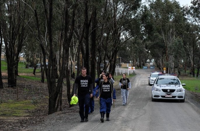 Hatchery lockdown action