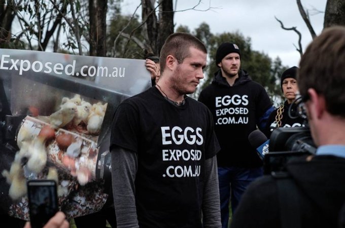 Hatchery lockdown action