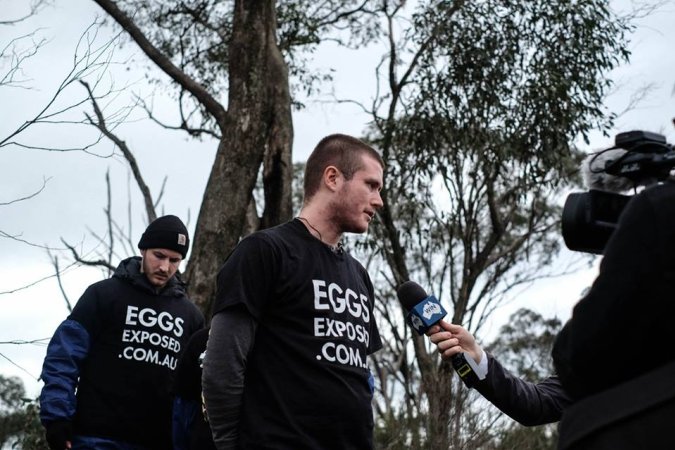 Hatchery lockdown action