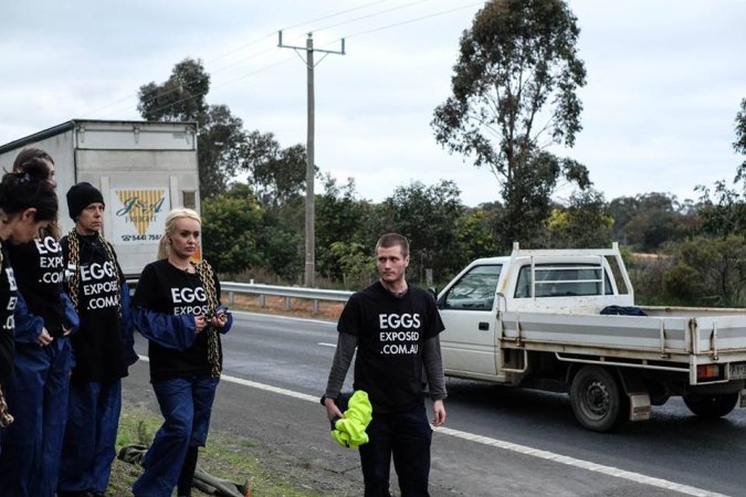 Hatchery lockdown action