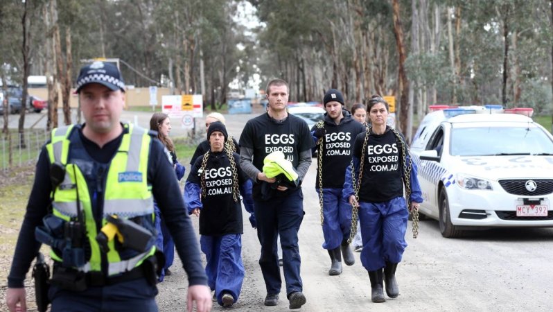 Hatchery lockdown action