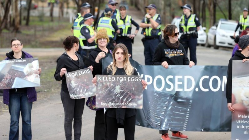 Hatchery lockdown action