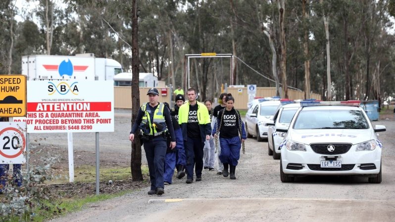 Hatchery lockdown action