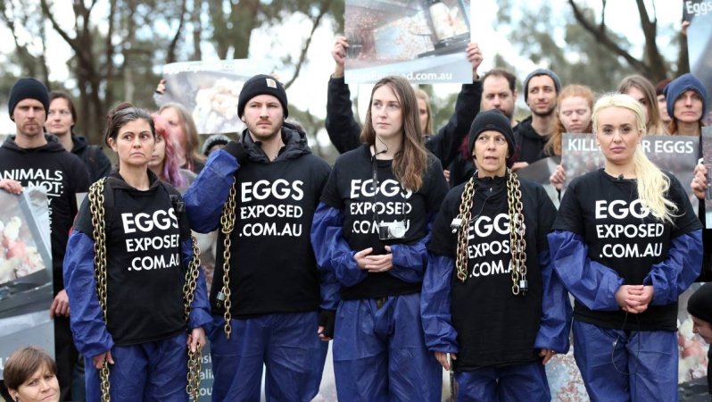 Hatchery lockdown action