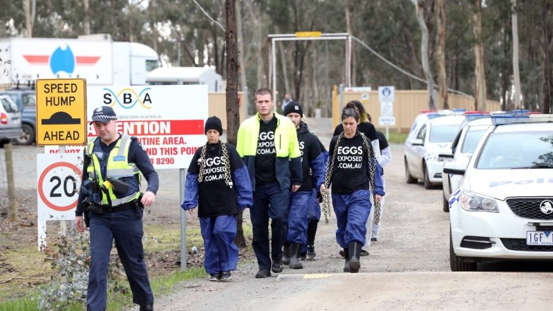 Hatchery lockdown action