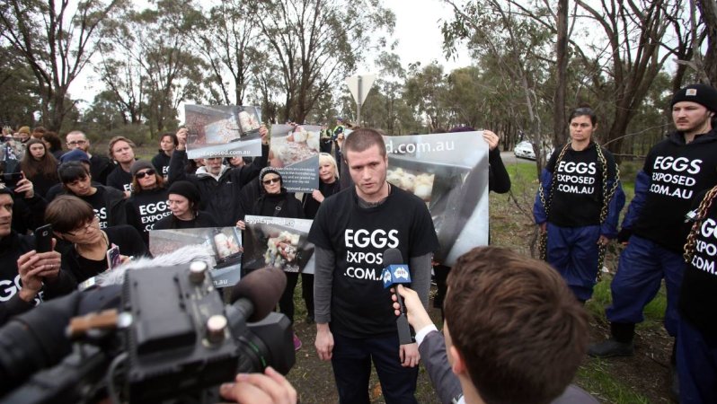 Hatchery lockdown action