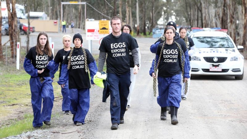 Hatchery lockdown action