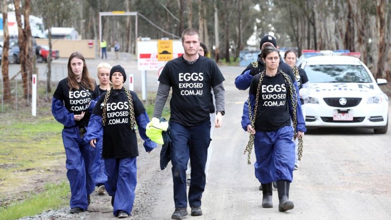 Hatchery lockdown action