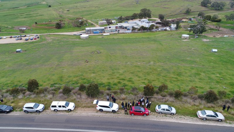 Activists occupy the rooftop of Strath Meats slaughterhouse