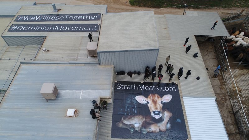 Activists occupy the rooftop of Strath Meats slaughterhouse