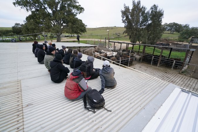 Activists occupy the rooftop of Strath Meats slaughterhouse