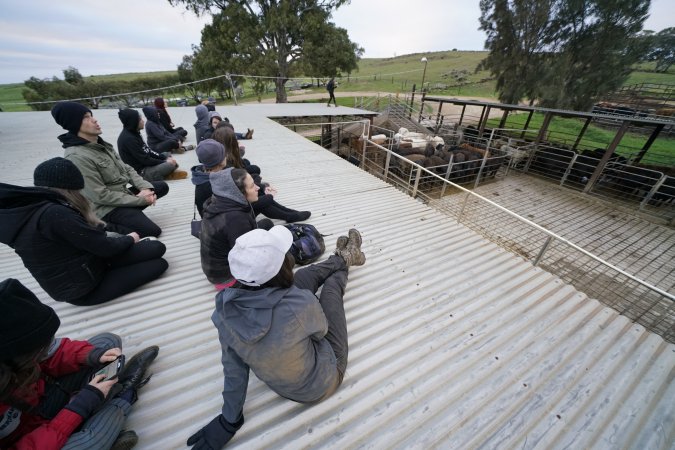 Activists occupy the rooftop of Strath Meats slaughterhouse