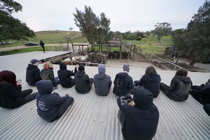 Activists occupy the rooftop of Strath Meats slaughterhouse