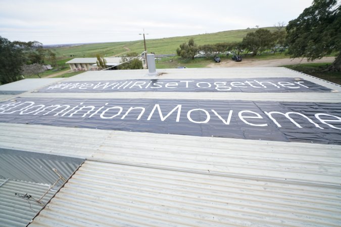 Activists occupy the rooftop of Strath Meats slaughterhouse