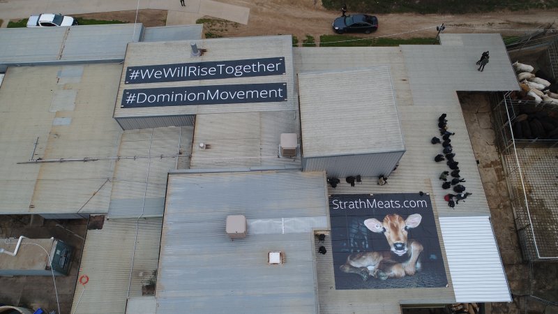 Activists occupy the rooftop of Strath Meats slaughterhouse