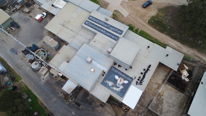 Activists occupy the rooftop of Strath Meats slaughterhouse