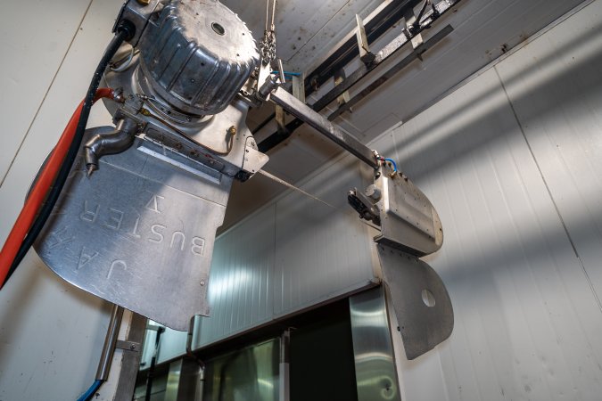 Suspended saw in cattle processing room