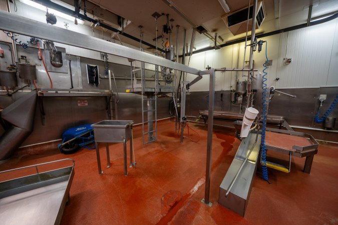 Cattle processing room